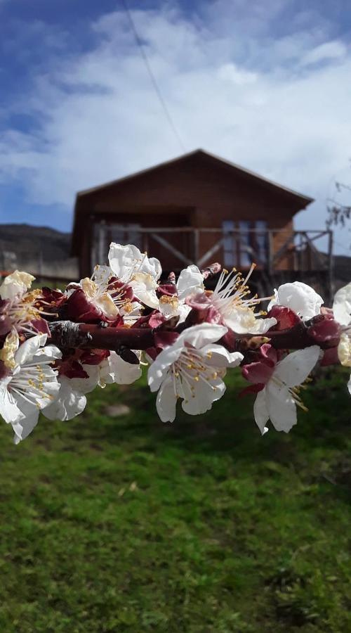 푸에르토과달 Sol De La Patagonia B&B 외부 사진